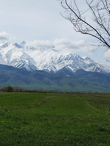 кыймылсыз мүлк: 20 соток, Бизнес үчүн, Белек келишими — 4