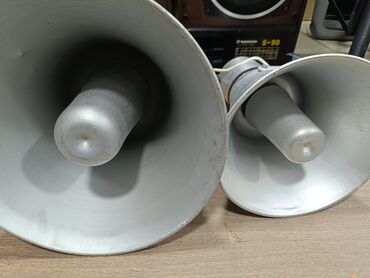 Dinamiklər və kolonkalar: İşlənmiş Kolonka, Növ - Akustik, rəng - Gümüşü — 12