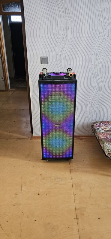 speaker: Karaoke üçün portativ səs sistemi – Bohong LED Party Speaker