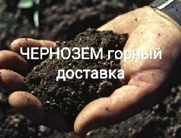 Чернозем горный плодородный без мусора сорняков Перегной многолетний