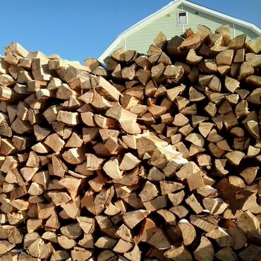 продать дрова оптом: Дрова Самовывоз