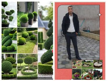 Landşaft işləri: Bütün növ ağcların qazonun güllərin biçilməsi sulaması dərmanlaması — 9