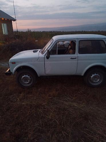 Продажа авто: ВАЗ (ЛАДА) 4x4 Нива: 1989 г., 1.6 л, Механика, Бензин, Внедорожник — 4