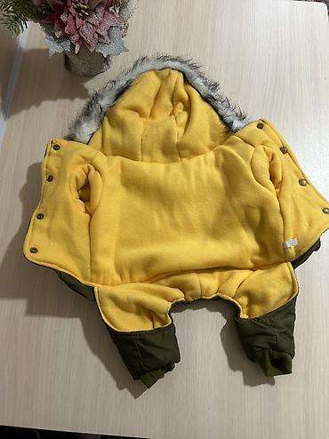 Зоотовары: Одежда для собак и кошек, большой выбор Все НОВОЕ РАЗМЕР И ЦЕНА — 5