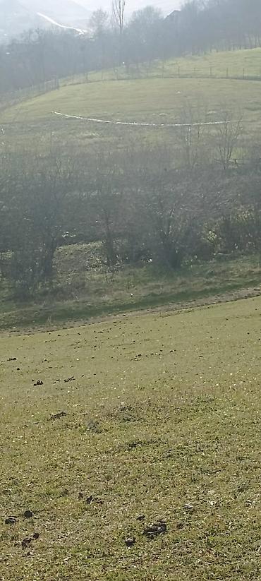 Torpaq sahələrinin satışı: Kənd təsərrüfatı — 8