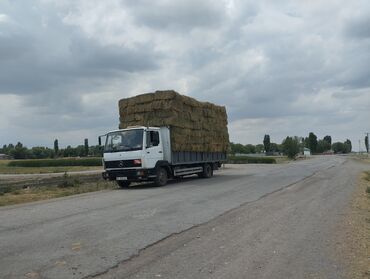 передний бампер опель вектра б: Жүк ташуучу унаа, Mercedes-Benz, Стандарт, 6 т, Колдонулган