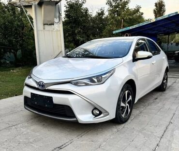 умные колонки: Toyota Corolla: 2019 г., 1.8 л, Автомат, Гибрид, Седан