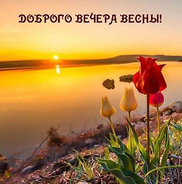 ig development: Требуется посудомойка разнорабочий режим 07.00 до 14.00 оклад 1000 сом — 1