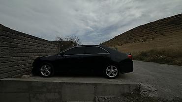 стеклопод: Toyota Camry: 2014 г., Седан — 7