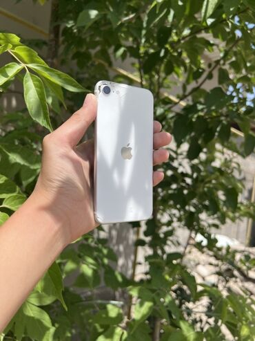 Apple iPhone: IPhone SE 2020, Б/у, 64 ГБ, Серебристый, 79 %