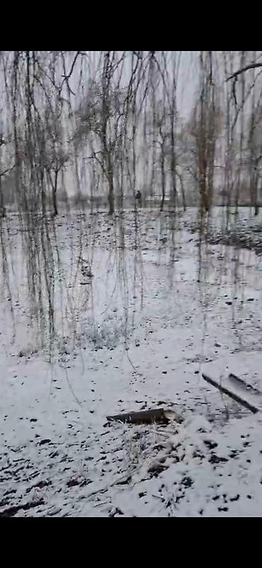 Bağ evlərinin satışı: Qəbələ, 16000 kv. m, 3 otaqlı, Hovuzsuz, İnternet — 10