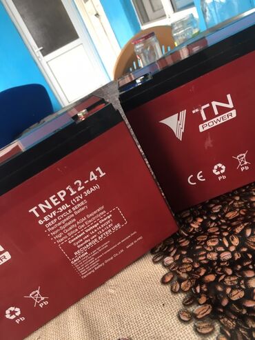 prius c: TN Power TNEP12-41 akkumulyatorları - Model: TNEP12-41, 6-EVF-36L -