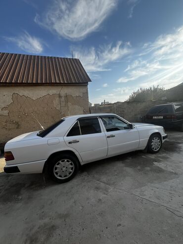 Mercedes-Benz: Mercedes-Benz W124: 1991 г., 2.9 л, Механика, Дизель, Седан — 11