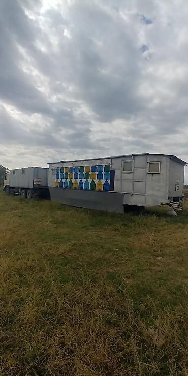 Другие хозтовары: ПРОДАМ Пчелопавилион. Нуклеусы. Лежаки. Медогонку Грановского at lalafo.kg — 15 Другие хозтовары: ПРОДАМ Пчелопавилион. Нуклеусы. Лежаки. Медогонку Грановского — 15