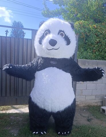 Организация мероприятий: Организация мероприятий | Оформление мероприятий — 4