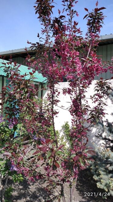 Туристические услуги: Бишкек хостел-коворкинг для фрилансеров. Приглашаем в наш уютный — 9