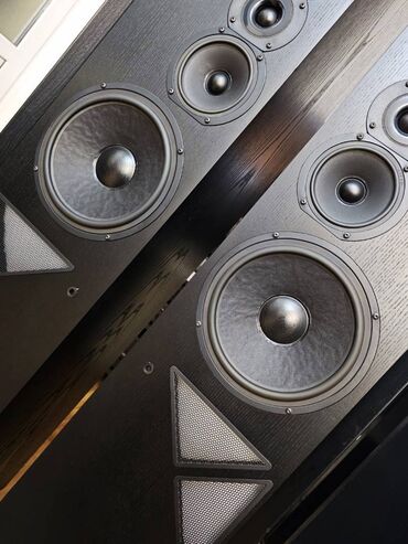 Zvučnici i stereo sistemi: T+A Criterion T 160 Vifa, D'Appolito Transmission Line Pravi High End — 5