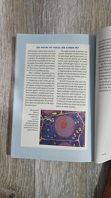 Книги и журналы: Məhsul: Kitab – “Besin Maddələriylə Takım Olmak: Organik Bahçecilikte — 3