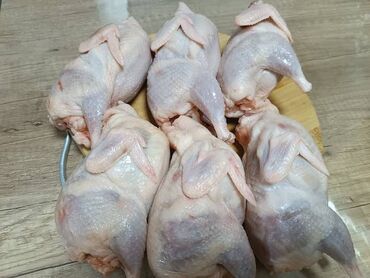 куплю мясо оптом в бишкеке: Перепелиное мясо для любых блюд вес перпёлк от 250 грамм и выше