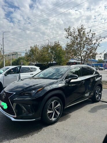 двери для нексия: Lexus NX: 2019 г., Гибрид, Кроссовер