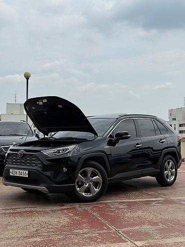 Toyota: Toyota RAV4: 2019 г., Гибрид, Кроссовер — 21