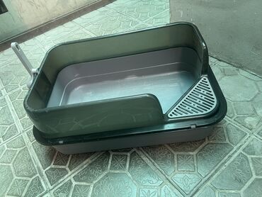 цена на пшеницу на сегодня за наличку: Продается лоток для кошек, почти новая! 600с