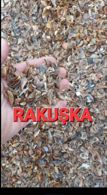 Digər quru inşaat materialları: Atcep,webenqum,lequska,torpaq,sementin mesox ve aciq wekilde topdan — 3