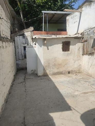 alatava 2: Obyekt tam senedli kubca. 32 kv.yun pambiq darama sexi kimi fealiyyet — 3