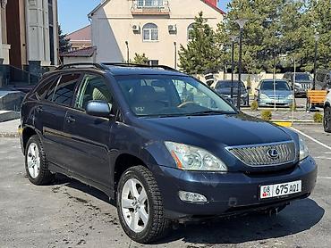 Lexus: Lexus RX: 2004 г., 3.3 л, Автомат, Бензин, Кроссовер — 3