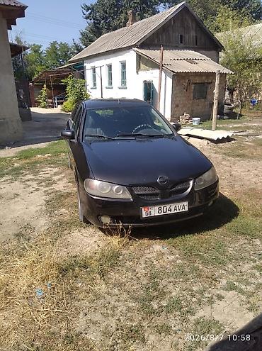 нур мото: Nissan Almera: 2003 г., Механика, Бензин, Хэтчбэк — 2