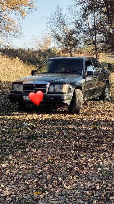 Mercedes-Benz: Mercedes-Benz W124: 1991 г., 2 л, Механика, Бензин, Седан