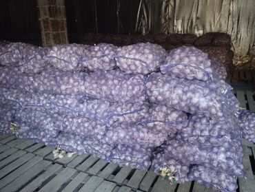 Чеснок: Чеснок Самовывоз — 16