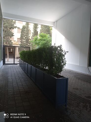 Bitkilər üçün dibçəklər: Dibçək güldanlar. Dipçəklər bir başa sexdən.Sex qiymətinə. ♦️Endrim — 3