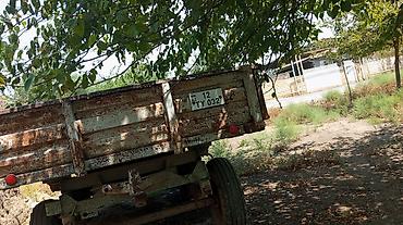 en ucuz traktörler: Kənd təsərrüfatı üçün 2 ədəd ikioxlu qoşqu təklif olunur. Razılaşma — 6