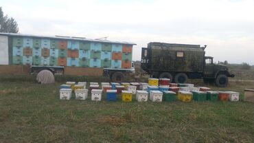 дом на колесах купить бишкек: Продам павильон пчеловодческий с помещением для качки, там же комната