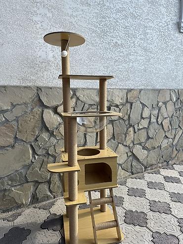 тройки детские: Игровой комплекс для кошек с домиком, гамаком-куполом и когтеточками — 3