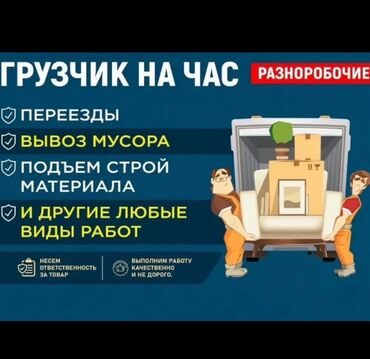 кафе на иссык куле: Жүк ташуучу. 6 жылдан ашык тажрыйба