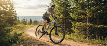 İdman velosipedləri: İşlənmiş Dağ velosipedi Toba, 28", sürətlərin sayı: 27, Ünvandan götürmə — 1