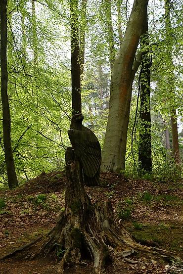 Фото жана видеокамералар: Мына, көчүрүп кой: Fujifilm X-T10 + 16-50mm Silver - Идеальное — 3