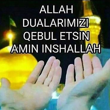 Salam Aleykum yaş 34 iş axtariram həyətdə bagda lalafo.az -da Salam Aleykum yaş 34 iş axtariram həyətdə bagda