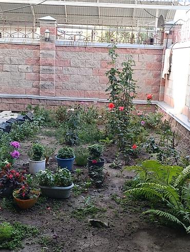 ремонт домов: 5 комнат, 215 м², 16 соток, Таш-Добо, Собственник — 2