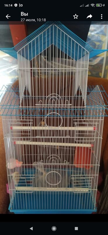 одежда для собак в баку: Qəfəslər satılır,cütü 50 azn