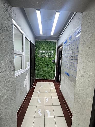 Аренда офисов: Аренда офисов, 400 м², В частном доме, 1 линия — 17