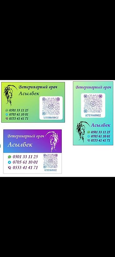 кой кана: Ветеринарный врач на выезд Онлайн консультация — 3