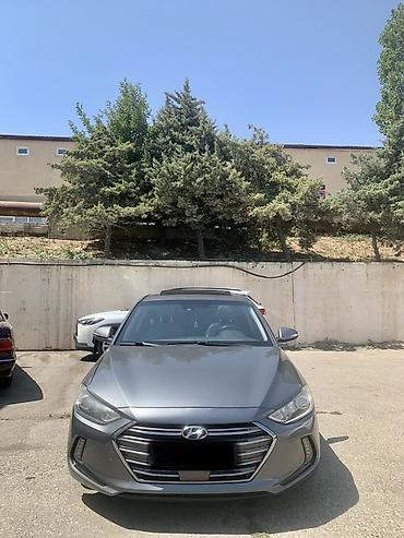 Hyundai: Hyundai Elantra: 2 l | 2017 il Sedan — 3
