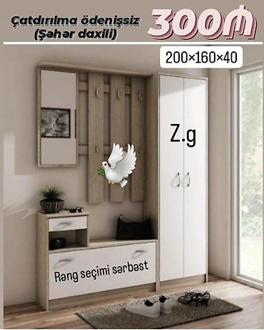 Dəhliz dolabları: Dəhliz üçün çoxfunksiyalı mebel dəsti. Ölçü: 200×160×40 sm — 1