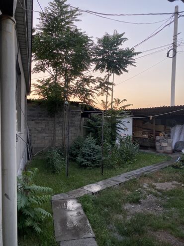 Продажа домов: Дом, 80 м², 3 комнаты, Собственник at lalafo.kg — 5 Продажа домов: Дом, 80 м², 3 комнаты, Собственник — 5