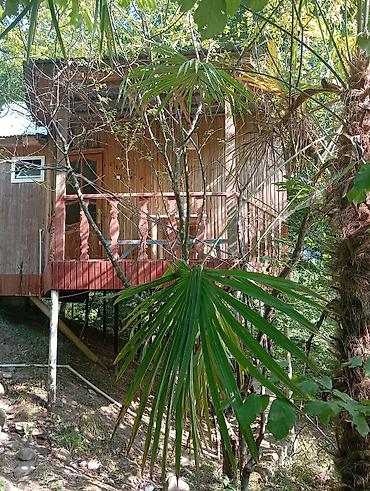 Günlük kirayə evlər: Masalli rayonu. İsti su istirahet merkezine yaxin. Turan restoranina — 28