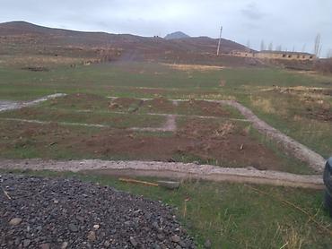 Torpaq sahələrinin satışı: Tikinti — 10