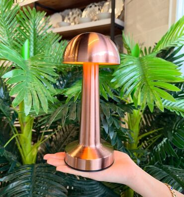 Buynuzlar: Masa üsdü lampa əlavə məlumat üçün zəng vhatssap